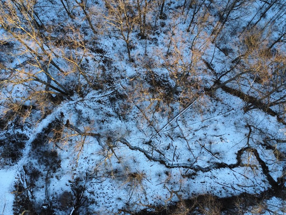 Straight-down drone view of a stream winding through snow-covered woods